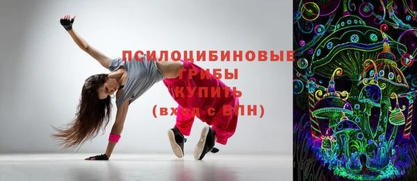 синтетический гашиш Богородицк