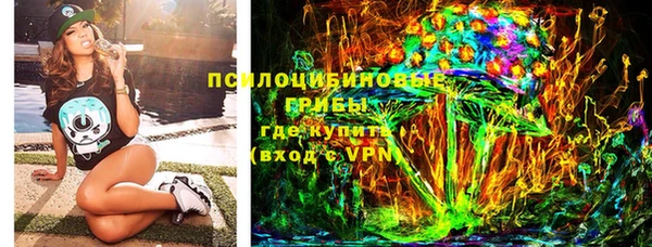 синтетический гашиш Богородицк