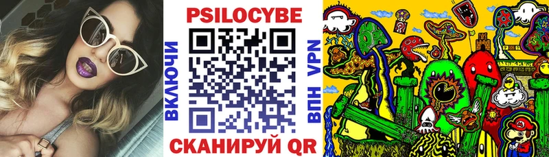 MEGA как зайти  Судак  Псилоцибиновые грибы Cubensis 